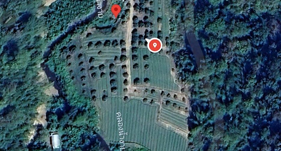 For sale land in Chiang Dao, Chiang Mai