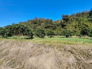 For sale land in Chiang Dao, Chiang Mai
