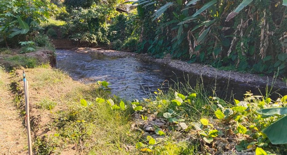 For sale land in Chiang Dao, Chiang Mai