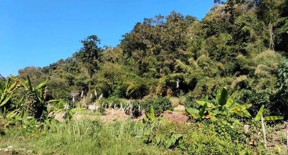 For sale land in Chiang Dao, Chiang Mai