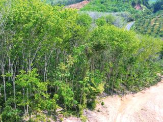 For rent land in Takua Thung, Phang Nga