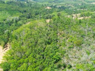 For rent land in Takua Thung, Phang Nga
