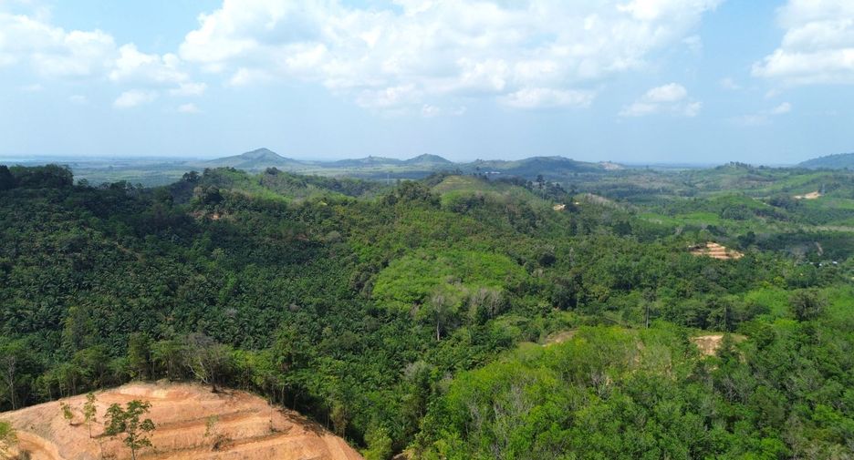 ให้เช่า ที่ดิน ใน ตะกั่วทุ่ง, พังงา