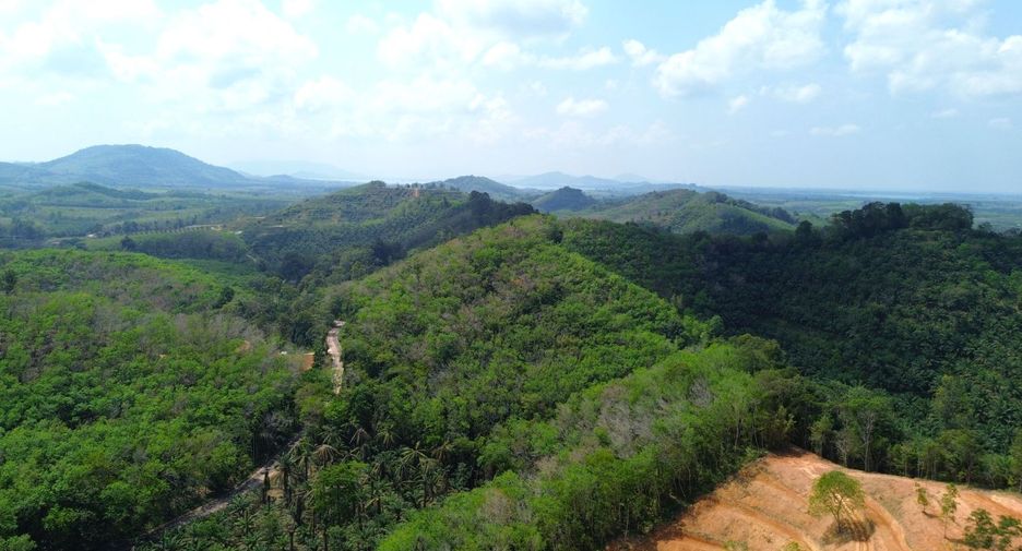 ให้เช่า ที่ดิน ใน ตะกั่วทุ่ง, พังงา