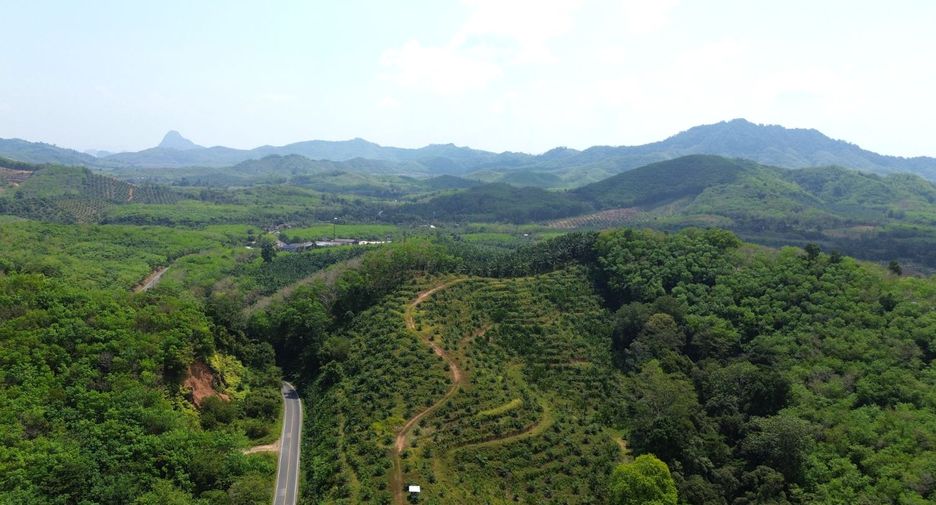 ให้เช่า ที่ดิน ใน ตะกั่วทุ่ง, พังงา