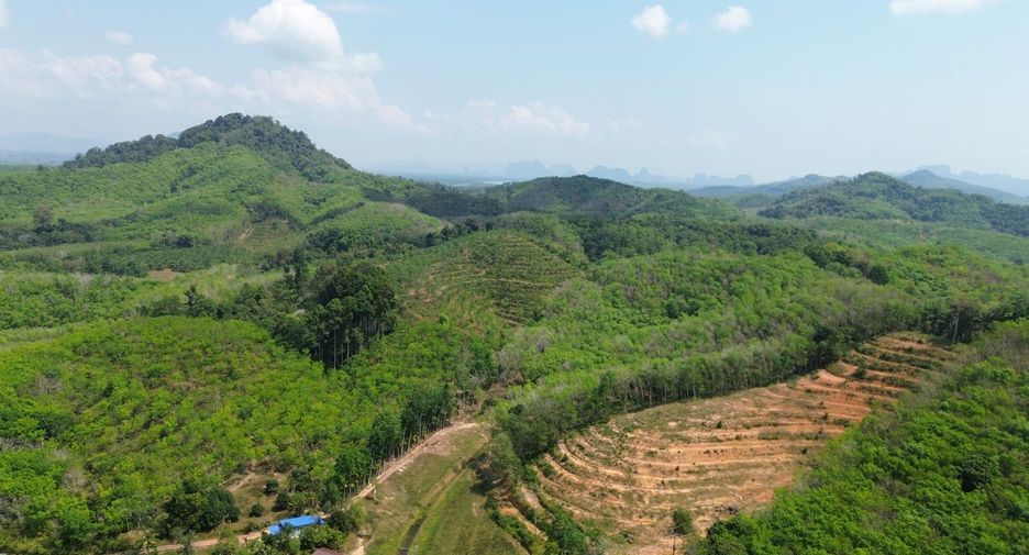 ให้เช่า ที่ดิน ใน ตะกั่วทุ่ง, พังงา