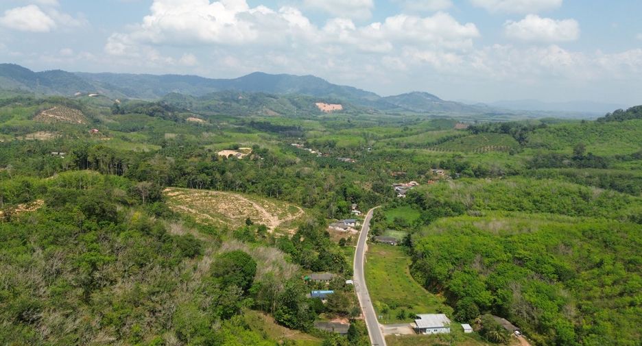 ให้เช่า ที่ดิน ใน ตะกั่วทุ่ง, พังงา