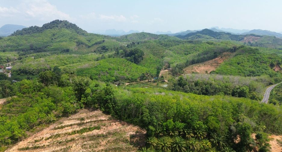 ให้เช่า ที่ดิน ใน ตะกั่วทุ่ง, พังงา