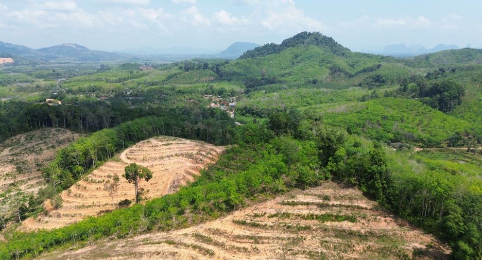 ให้เช่า ที่ดิน ใน ตะกั่วทุ่ง, พังงา