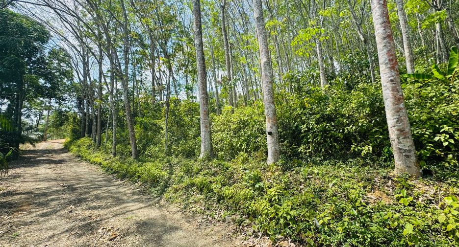 ให้เช่า ที่ดิน ใน ตะกั่วทุ่ง, พังงา