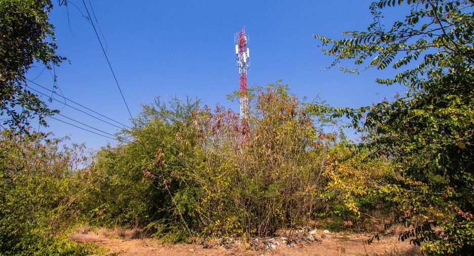 For sale land in Bueng Sam Phan, Phetchabun