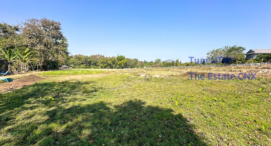 For sale land in Mae On, Chiang Mai