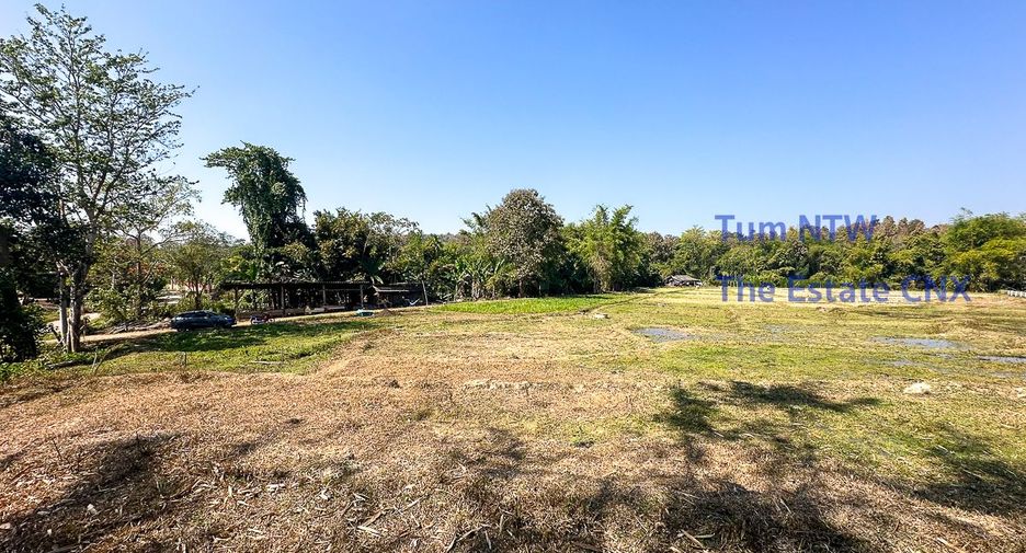 For sale land in Mae On, Chiang Mai