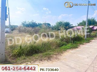 For sale land in Mueang Loei, Loei