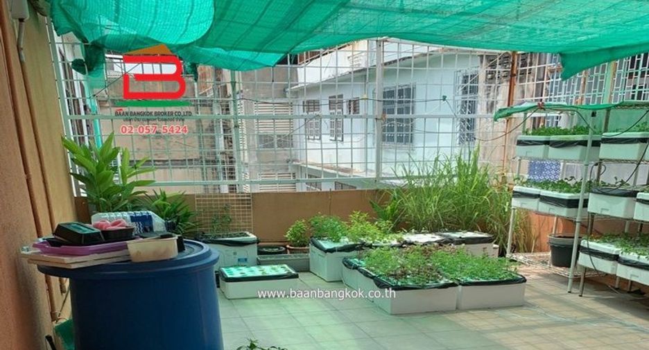 For sale 5 bedrooms retail Space in Chom Thong, Bangkok