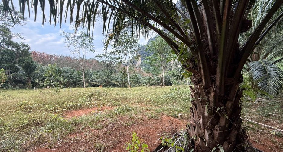 À vendre terrain à Mueang Krabi, Krabi