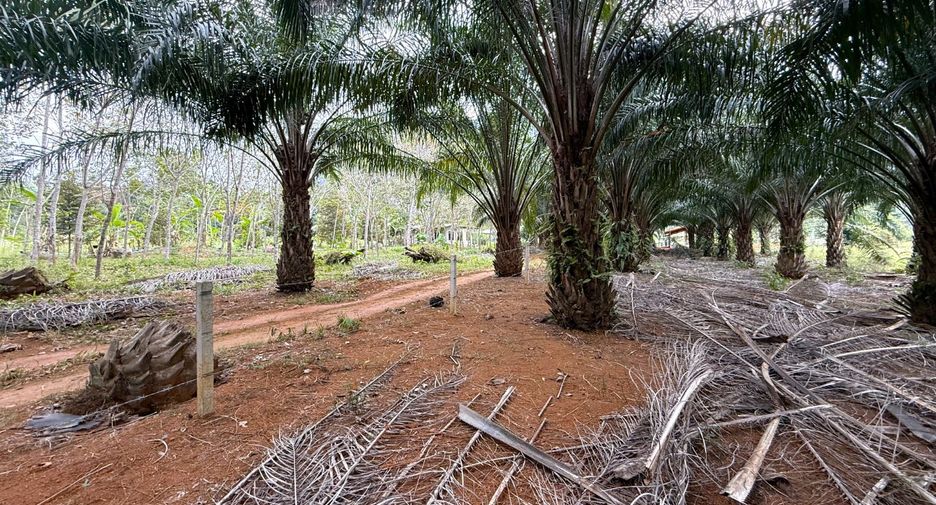 À vendre terrain à Mueang Krabi, Krabi
