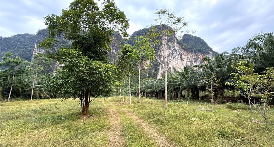 À vendre terrain à Mueang Krabi, Krabi