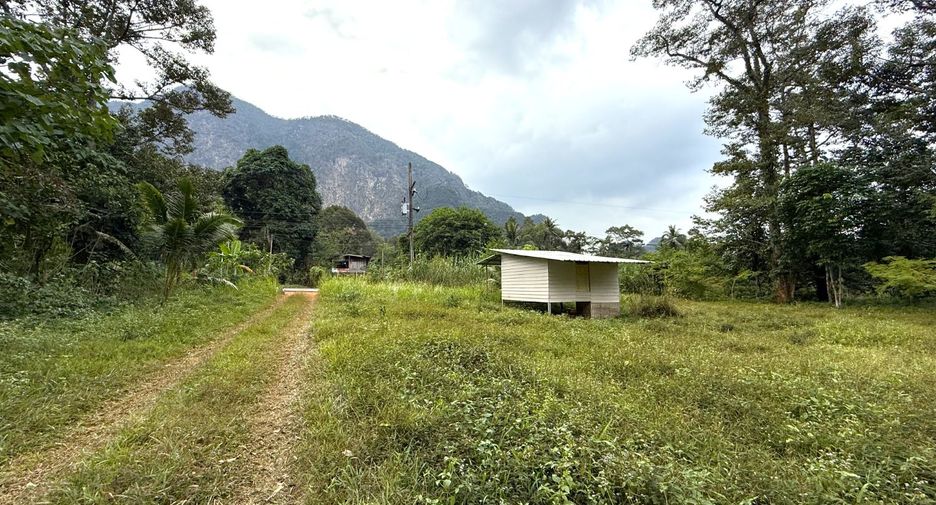 À vendre terrain à Mueang Krabi, Krabi