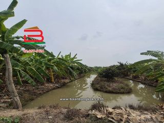 À vendre terrain à Mueang Suphanburi, Suphan Buri