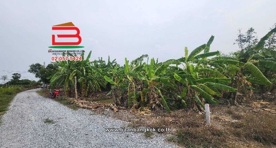 For sale land in Mueang Suphanburi, Suphan Buri