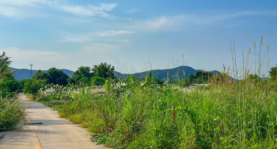 ขาย ที่ดิน ใน สัตหีบ, ชลบุรี