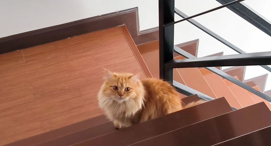 For sale 2 bedrooms townhouse in Khlong Sam Wa, Bangkok