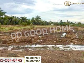 For sale land in Mueang Chachoengsao, Chachoengsao