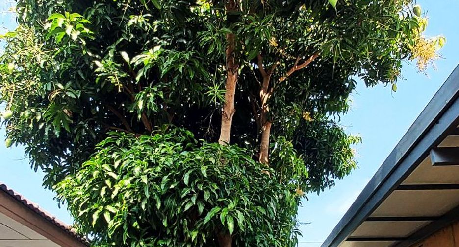 Villa en venta de 2 habitaciones en Mueang Rayong, Rayong