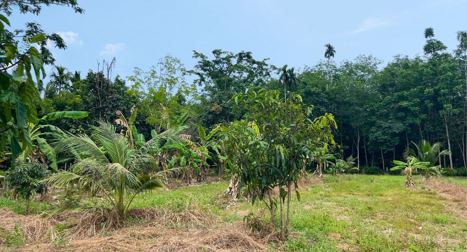 Terreno en venta en Thai Mueang, Phang Nga
