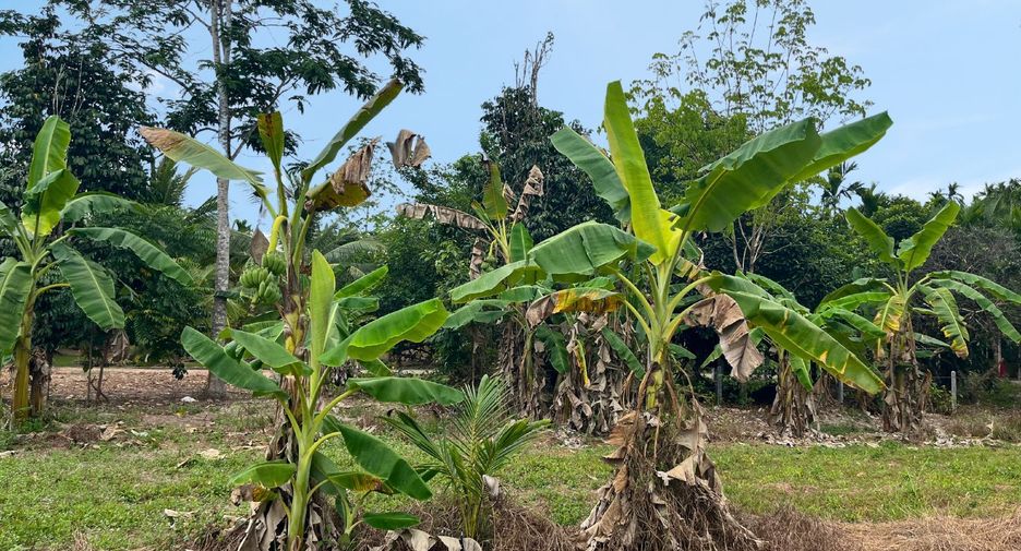 Terreno en venta en Thai Mueang, Phang Nga