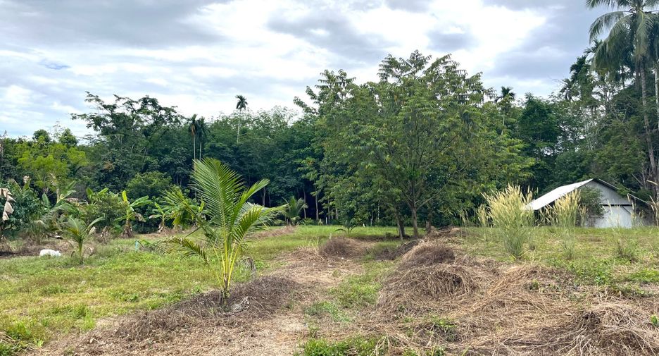 Terreno en venta en Thai Mueang, Phang Nga