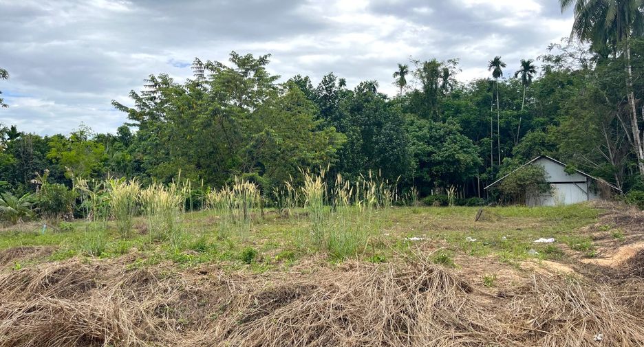 Terreno en venta en Thai Mueang, Phang Nga