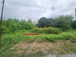 For sale land in Phutthamonthon, Nakhon Pathom