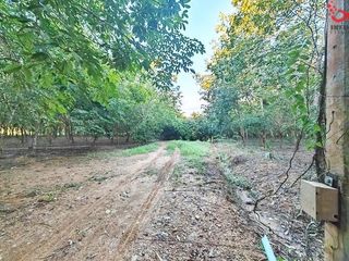For sale land in Sanam Chai Khet, Chachoengsao
