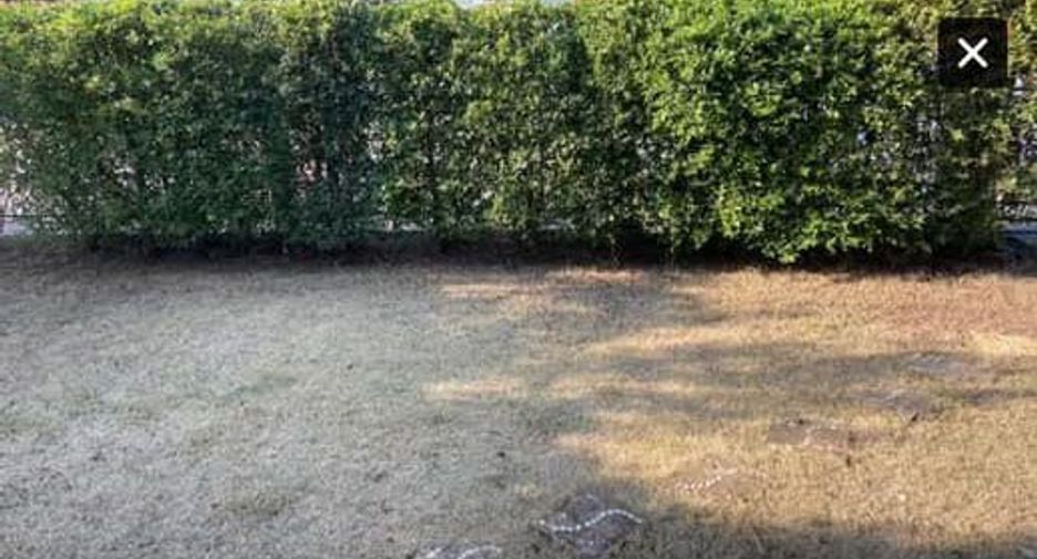 For rent 3 bedrooms house in San Sai, Chiang Mai