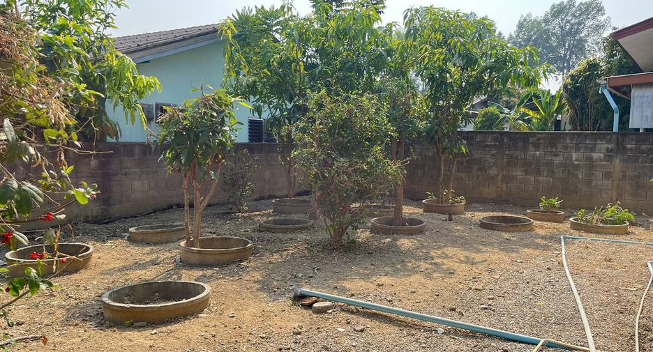 For rent 3 bedrooms house in Saraphi, Chiang Mai