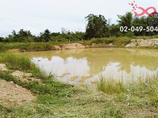 For sale land in Thoen, Lampang