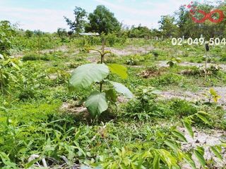 For sale land in Thoen, Lampang