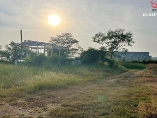 For sale land in Lam Luk Ka, Pathum Thani