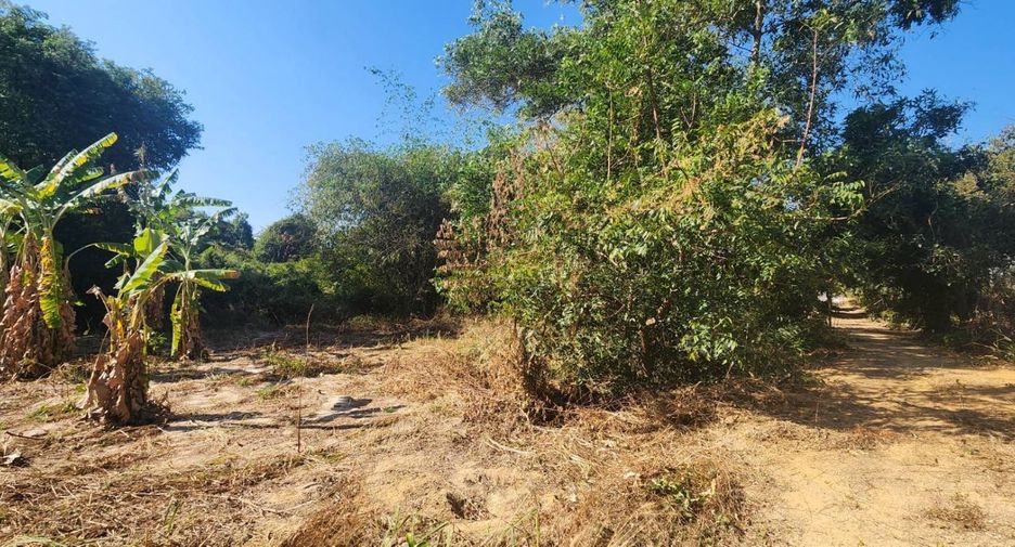 For sale land in Phanom Sarakham, Chachoengsao