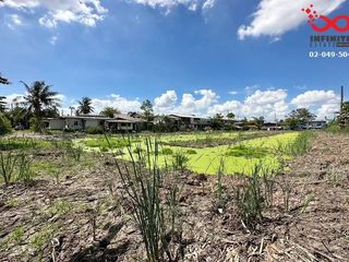 For sale land in Sam Khok, Pathum Thani