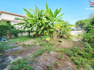 For sale land in Lam Luk Ka, Pathum Thani
