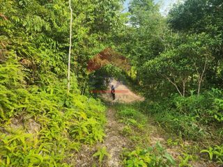 For sale land in Mueang Krabi, Krabi