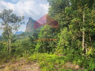 For sale land in Mueang Krabi, Krabi