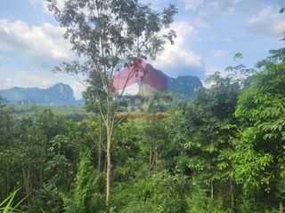 For sale land in Mueang Krabi, Krabi