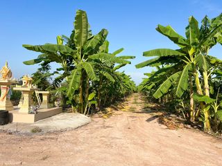 For sale land in Si Satchanalai, Sukhothai
