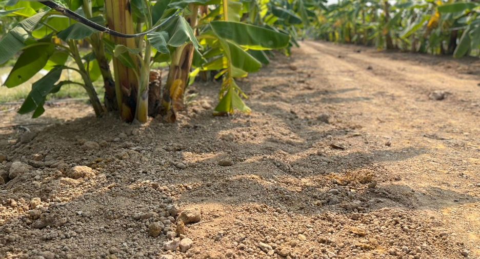 Terreno en venta en Si Satchanalai, Sukhothai