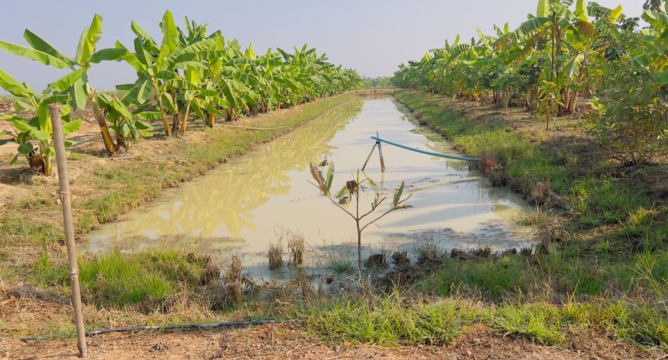 Terreno en venta en Si Satchanalai, Sukhothai