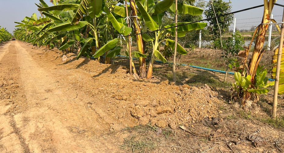 Terreno en venta en Si Satchanalai, Sukhothai